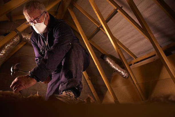 Best Insulation for Specific Applications in Honaunau Napoopoo, HI